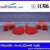 Dental Functional Edentulous Jaws Model DEA-30 thumbnail-3