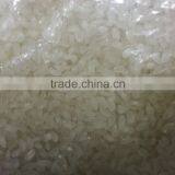 Camolino Rice thumbnail-5