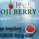 High Quality Goji Berry(wolfberry) ---2016 Gojiscm Offer thumbnail-4