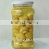 Canned Champions Mushroom in Jar for Sale thumbnail-1