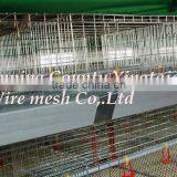 Poultry Dung Removing Machinery Equipment /layer Poultry Cages for Nigeria/africa thumbnail-4