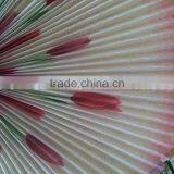 Colorful Pleated Window Screen/printed Pleated Screen/color Pleated Screen
