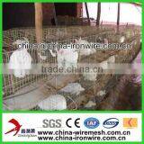 Metal Rabbit Cage(factory)
