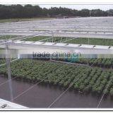 Flat Roof Greenhouse