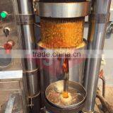 Ideal Function Sesame Oil Extruder Machine With Good Final Product thumbnail-5