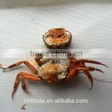 Batch Type Microwave Cooker thumbnail-2