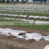 Black and Silver PE Biodegradable Mulch Film for Agriculture Greenhouse thumbnail-3