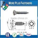 Made in Taiwan Phillis Recess Raised Countersunk Oval Head Tapping Screw thumbnail-6
