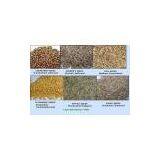Sell Whole Spices (India) thumbnail-1