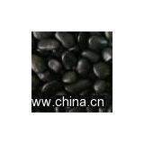 Black Gravel thumbnail-1