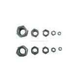 Sell Hex Nut thumbnail-1