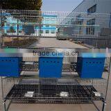 Wholesale Automatic Rabbit Farming Cage thumbnail-1