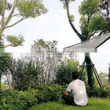 Agricultural Use Aluminium Foil Greenhouse Shade Netting for Tree thumbnail-5