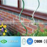 Plant Support in Tomato Paste Factory