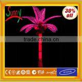 Express Outdoor Christmas Decorative Programmable Led Christmas Lights With CE ROHS GS SAA UL