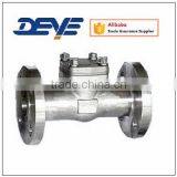 Stainless Steel Forged Flange Ends Check Valve