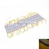 SDSLED Yellow 10W DC12V 20PCS Waterproof 5050 Led Module