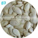 Good Taste Roasted and Salted Shine Skin Pumpkin Seeds 11mm 10mm 9mm High Quality thumbnail-2
