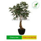 Tropical artificial olive tree with olive fruits