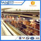 Automatic Chicken Layer Cage in Kenya thumbnail-5