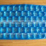 Environmental Dried Fruit Tray thumbnail-1