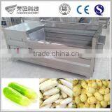 Brush Washing Machine Fruit and Vegetable/ Potato Peeling Machine