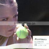 PVC Flex Banner / Hot Sale Banner /backlit Banner thumbnail-2