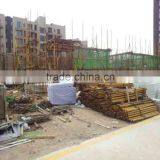 18mmX1220X2440, Poplar Core, Brown Film Faced Plywood With Printed Logo for Concrete Formwork thumbnail-4