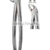 Dental Extraction Forceps thumbnail-4