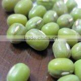 MUNG BEANS