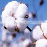 Best Quality - Gassed Mercerized Cotton Yarn. thumbnail-4