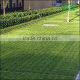 Concreting Plant Ecology Pouring Pile Strawberry Flower Grass Ground Floor Parking Lot Pavement Stone Clover Mold thumbnail-5