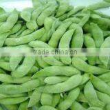 Best Selling Vietnam High Quality IQF Frozen Soybean