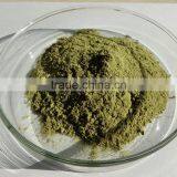 Bulk Moringa Leaf Powder Price ( Skype: Liu.diana 79, Whatsapp: +861502902563) thumbnail-6