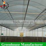 Multi-span Hydroponic Tunnel Film Greenhouse thumbnail-3