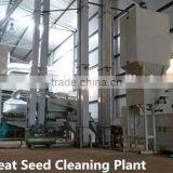 Wheat Barley Seed Processing Line thumbnail-4