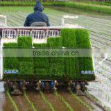 Kubota 6 Rows Rice Transplanter in India Place thumbnail-5