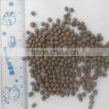 Expanded Clay Aggregate for Satsuki Azaleas thumbnail-2