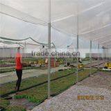 Multi-Span Agricultural Greenhouses thumbnail-3