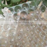 434 Holes Clear PVC Material Plastic Parachute Seedling Trays, Paddy Seed Germination Tray, Rice Nursery Tray thumbnail-3