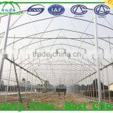 Poly Tunnel Greenhouses Manufacture Supplier thumbnail-4