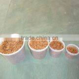 Pet Food Manufacturer and Exporter Dried Mealworms Crickets Grasshoppers thumbnail-2