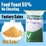 Dry Yeast For Animal Feed 60 Protein