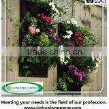 Salad and Herb Vertical Garden Wall Planter thumbnail-1