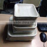 Bio Degradable Plates thumbnail-2