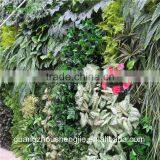 SJLJ013321 Artificial Grass Wall / Plastic Green Wall / Fake Plant Wall for Wall Decoration thumbnail-3