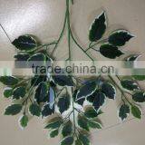 GUangzhou Shengjie Wholesale White Edge Banyan Tree Leaves for Ficus Tree Decoration thumbnail-2