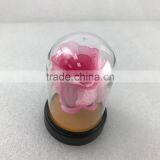 Clear Acrylic Display Dome With Base for Display Decorations thumbnail-5
