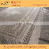 Hot Sale G655 Granite Tongan White Stairs thumbnail-1