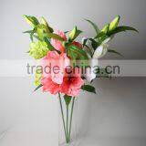 Natural Vallota Speciosa Fabric Vallota Speciosa Decorative Vallota Speciosa Artificial Flower for Wholesale thumbnail-1